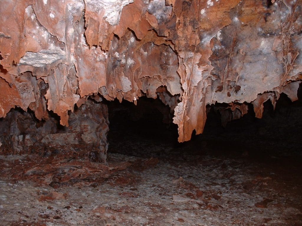 Wind Cave National Park